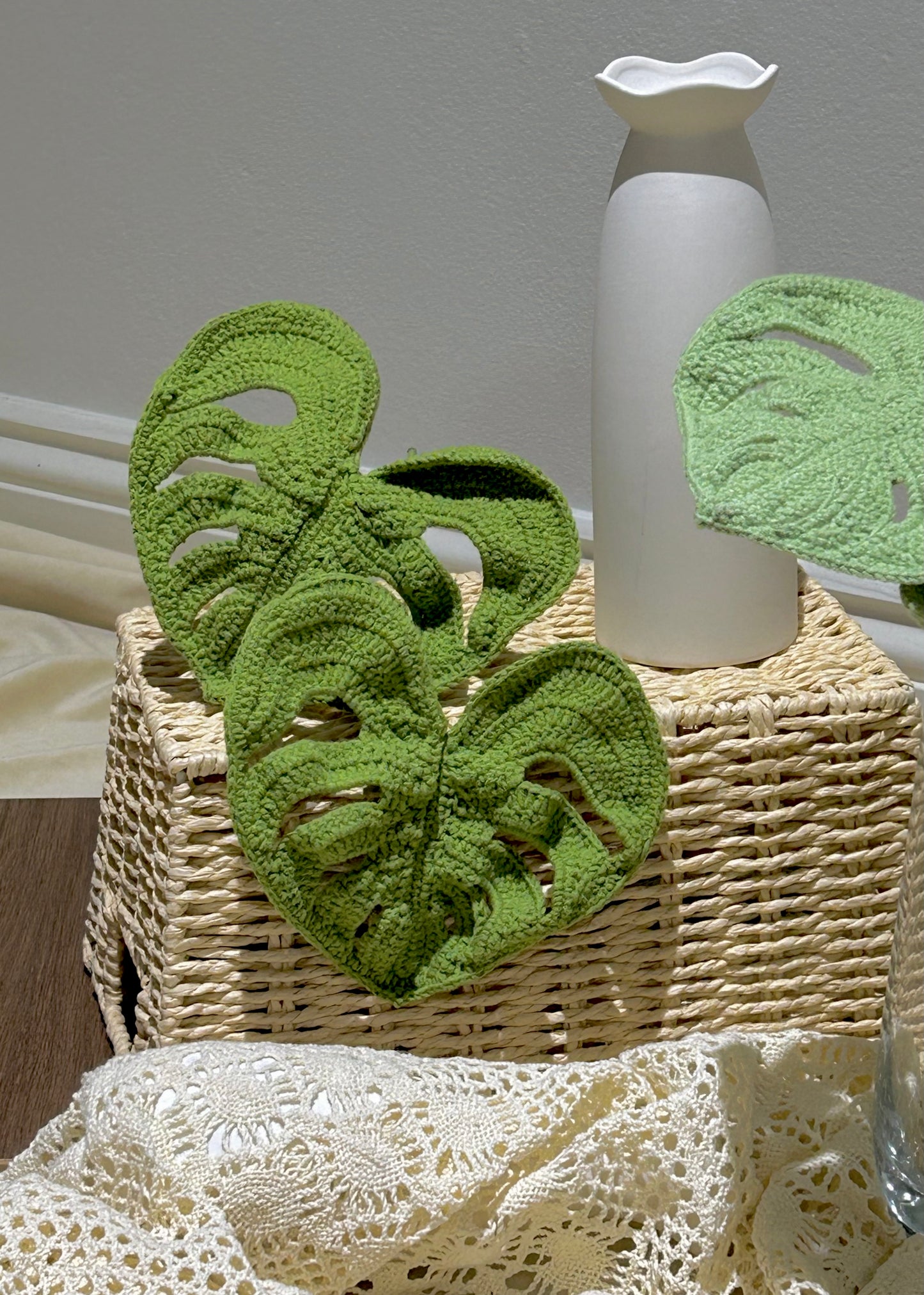 Monstera deliciosa